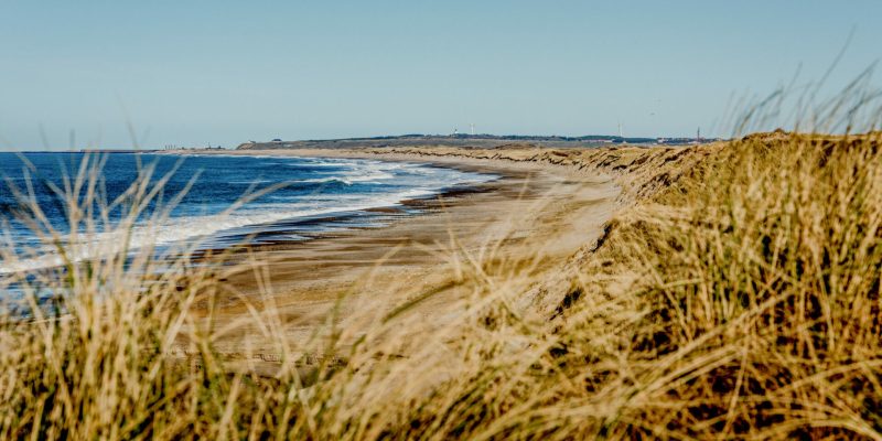 View of the North Sea beach by Hanstholm with the town in the background in Thy National Park, Denmark. Udsigt til Vesterhavet og stranden ved Hanstholm med byen i baggrunden in Nationalpark Thy i Jylland.